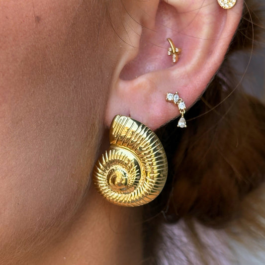 Boucle coquillage