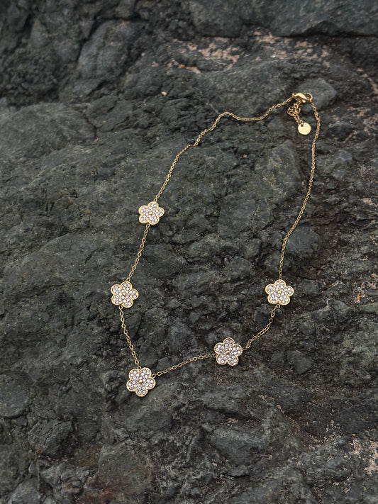 Collier Laura