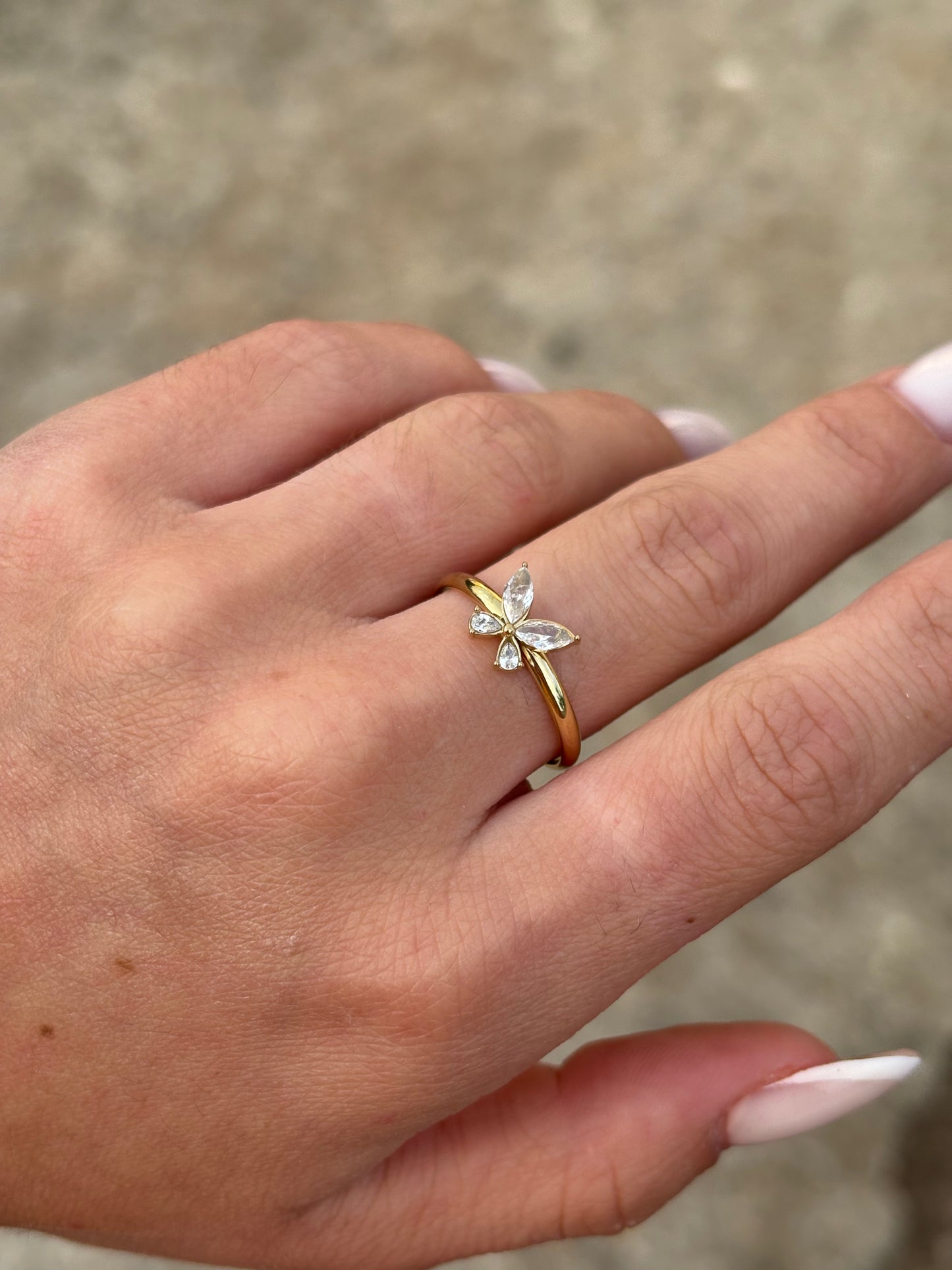 Bague papinia