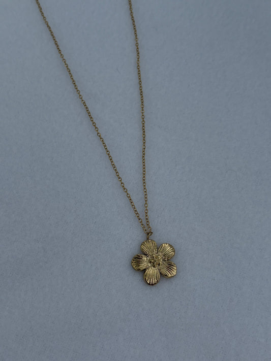 Collier folia